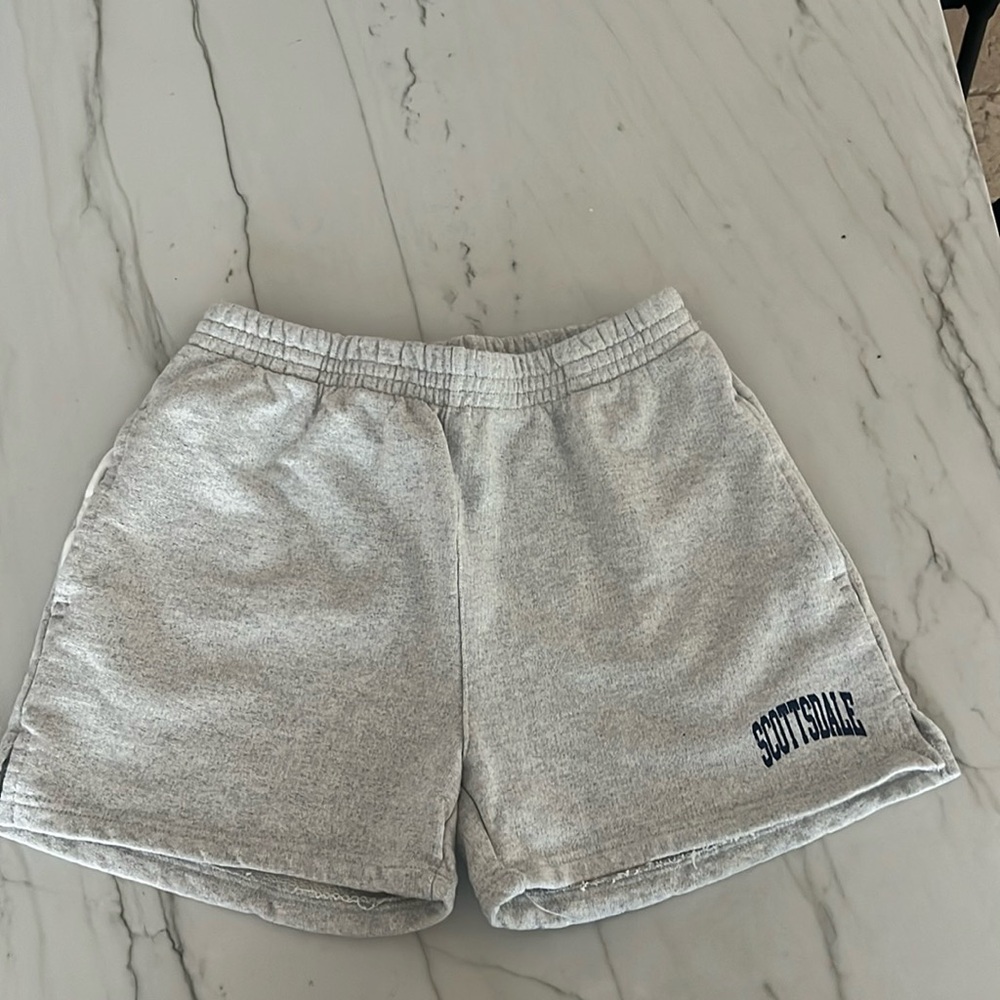 BRANDY MELVILLE/John Galt shorts, OS, gray w “Scottsdale” decal, NWT